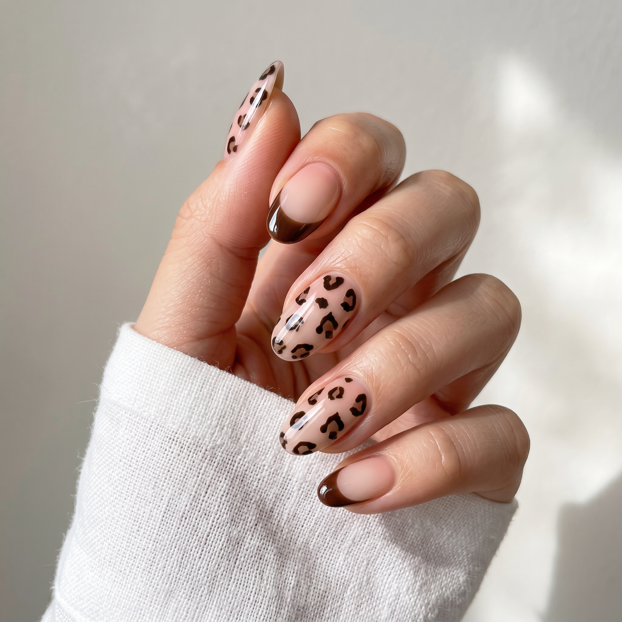 Cocoa Leopard French