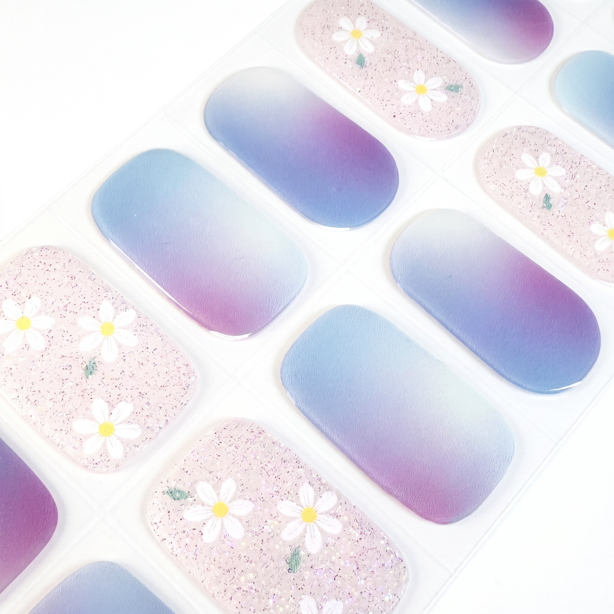 Lavender Daisy Haze